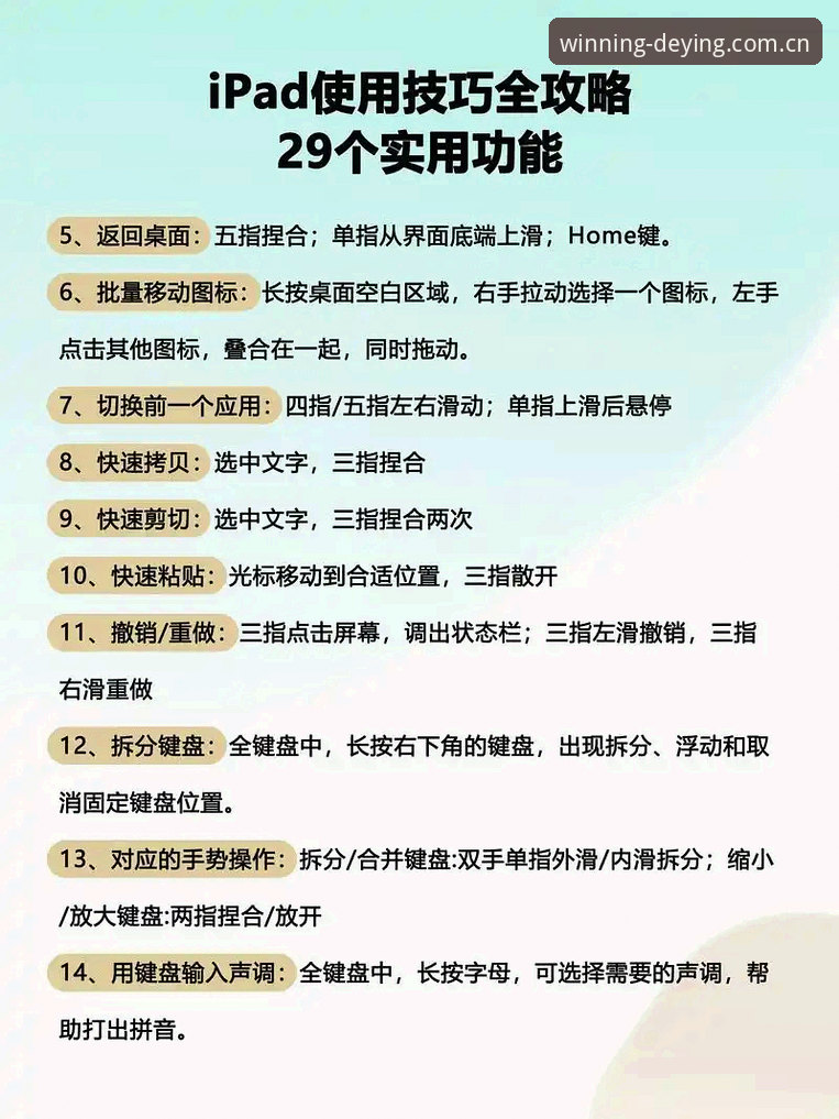 揭秘德赢体育移动版：新手必知的5个高效使用技巧